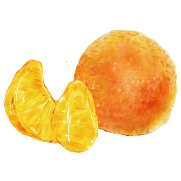 有田みかん